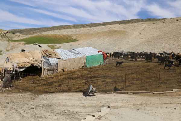 اردوی جهادی