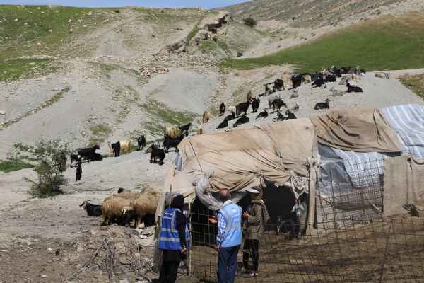 اردوی جهادی