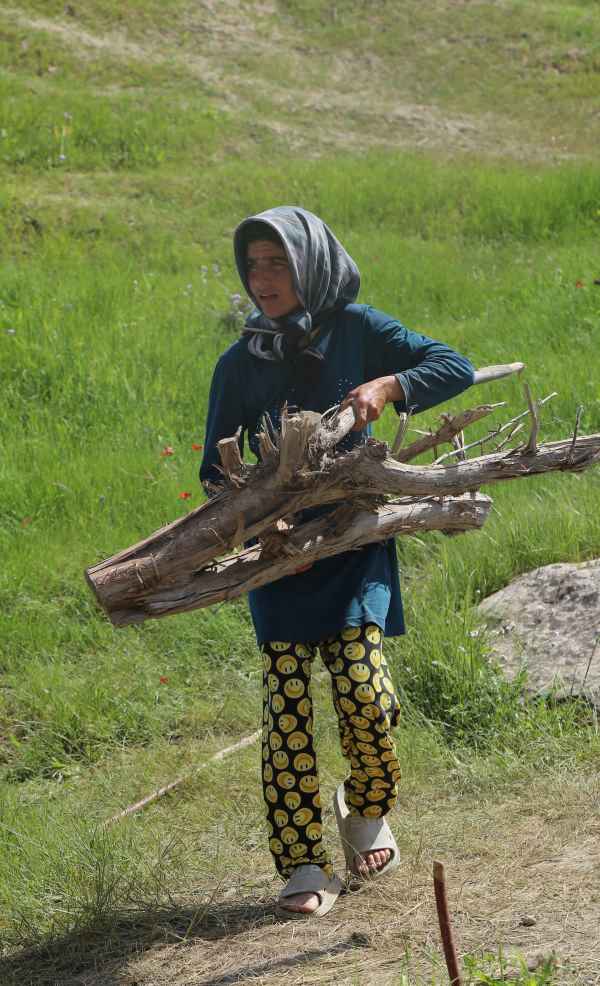 اردوی جهادی