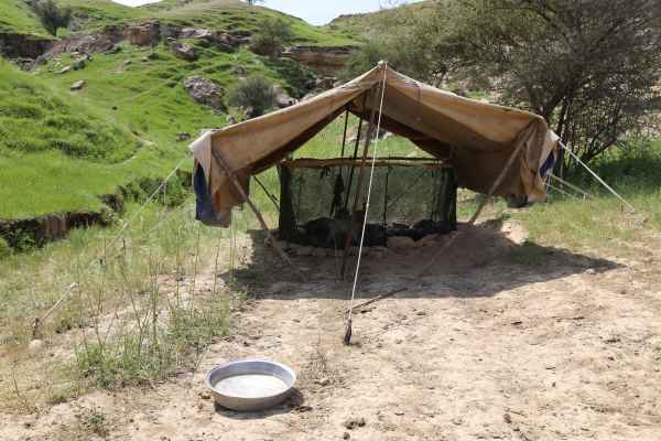 اردوی جهادی